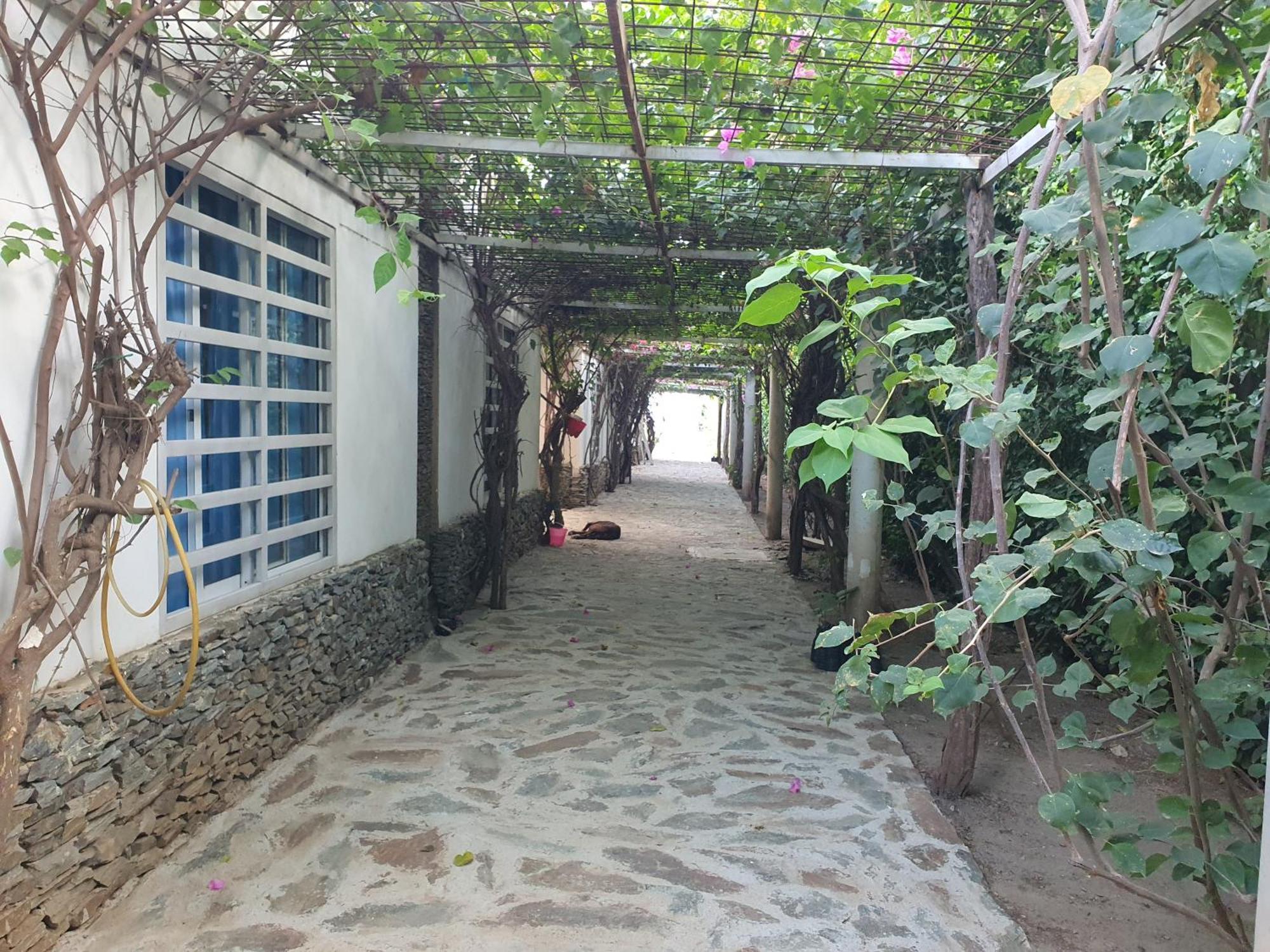 Hotel Tayrona Bahia Concha エクステリア 写真