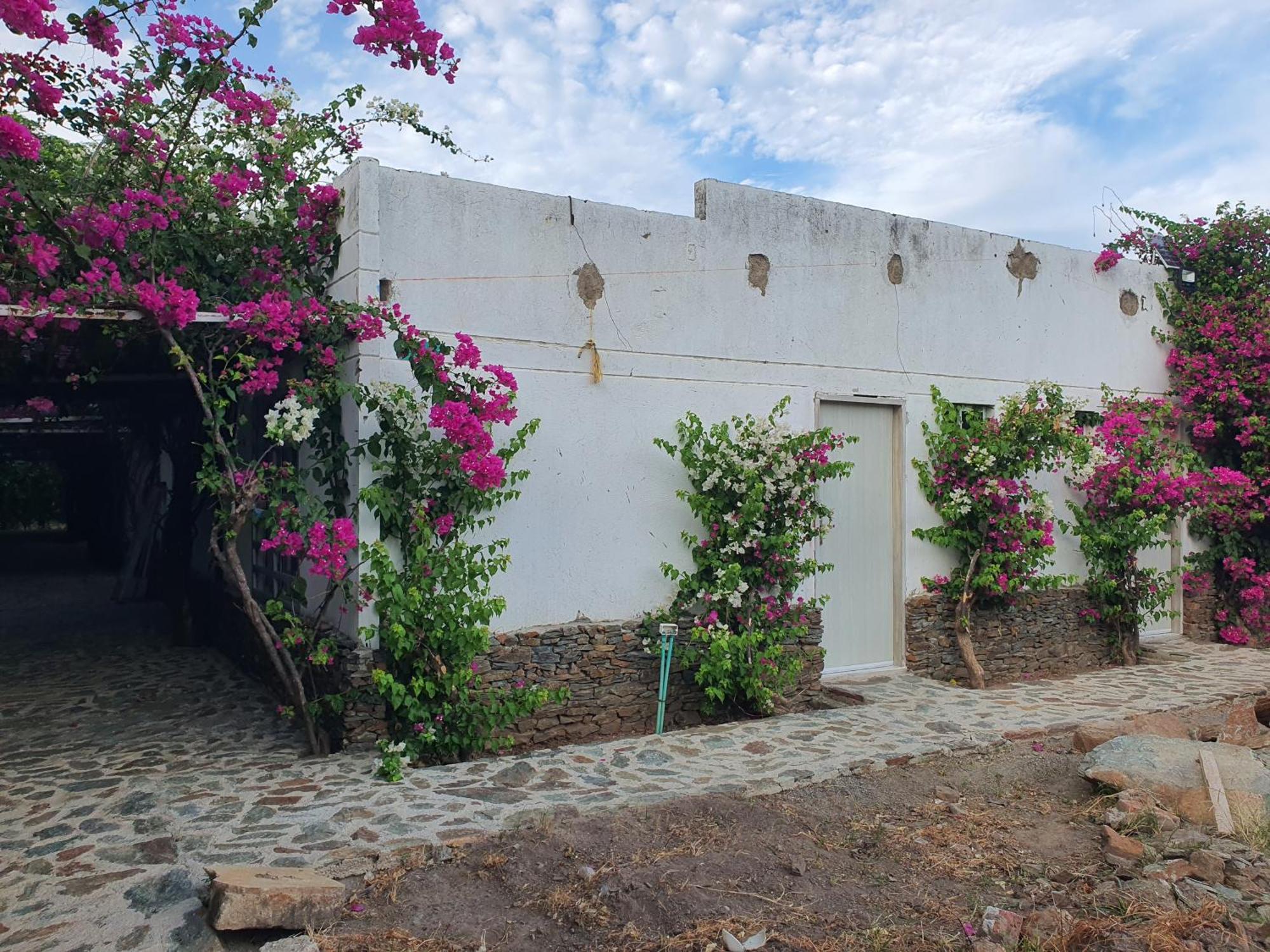 Hotel Tayrona Bahia Concha エクステリア 写真