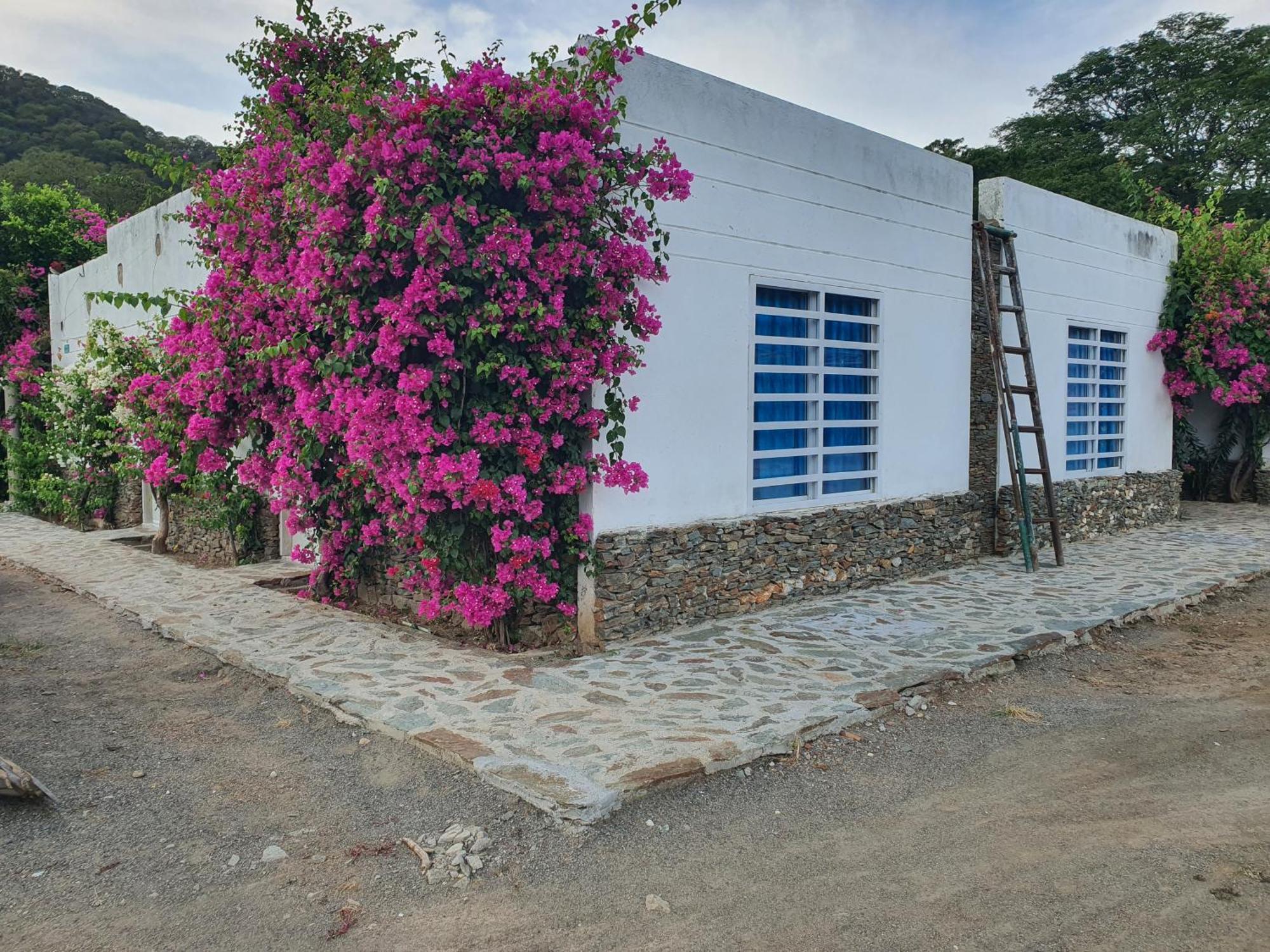 Hotel Tayrona Bahia Concha エクステリア 写真