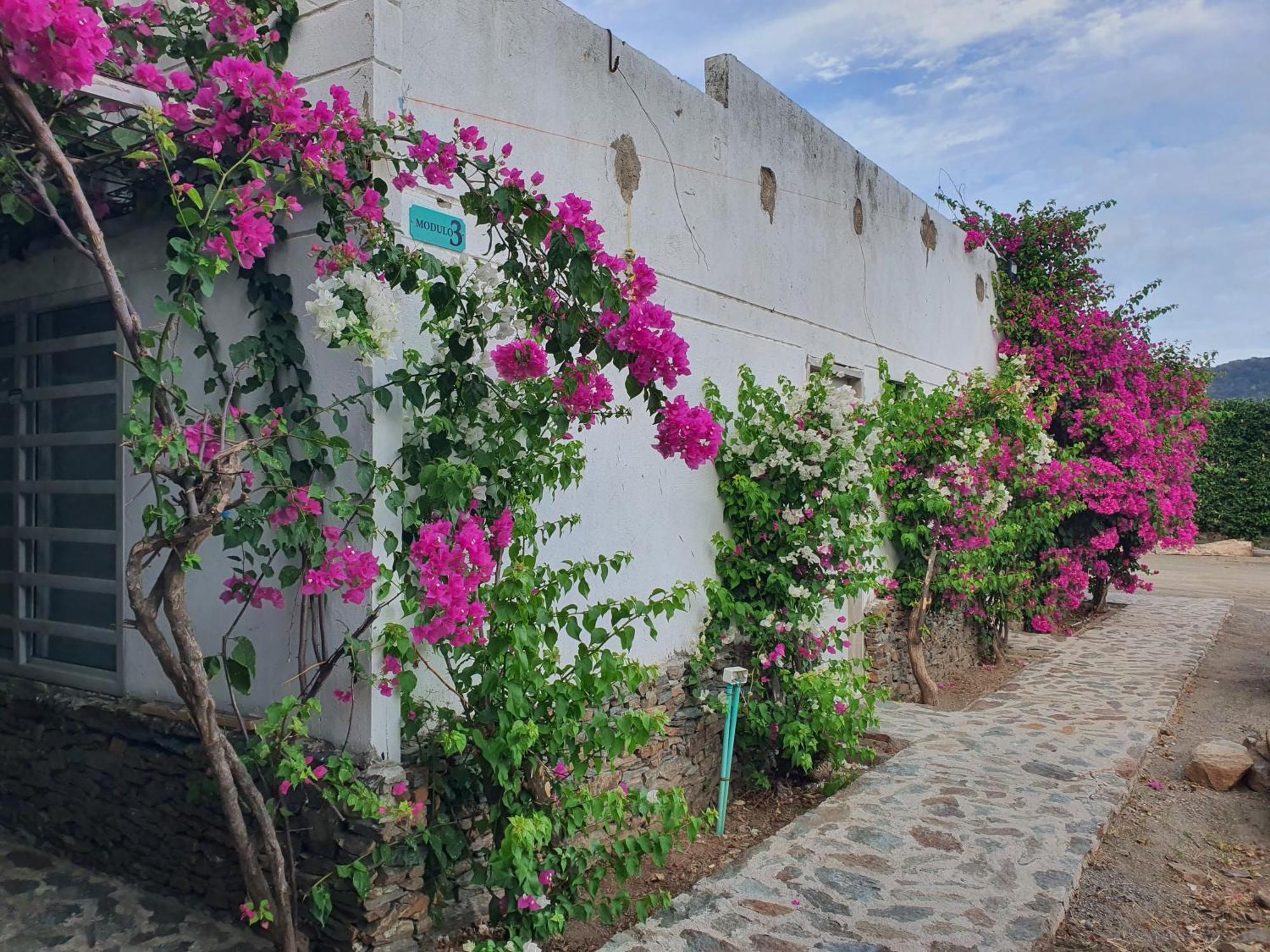 Hotel Tayrona Bahia Concha エクステリア 写真