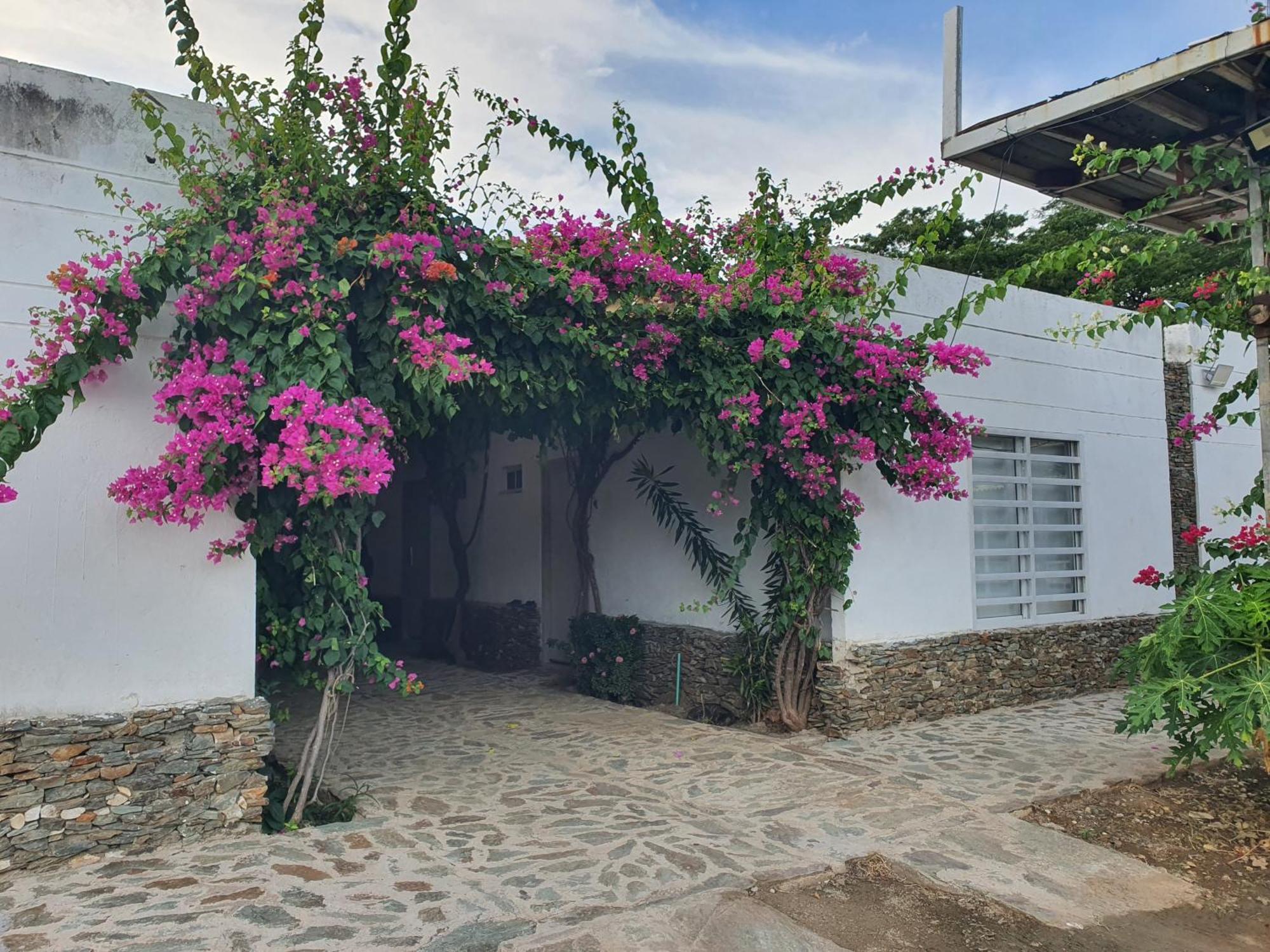 Hotel Tayrona Bahia Concha エクステリア 写真